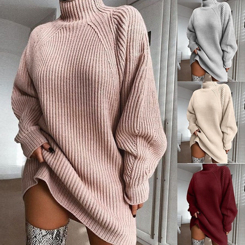 ChicWarm Turtleneck Dress