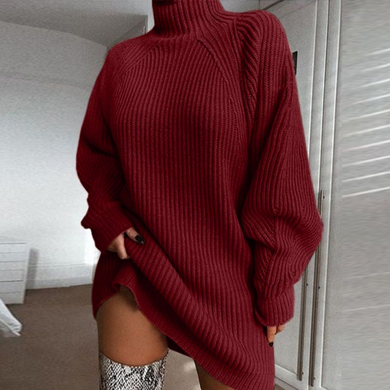 ChicWarm Turtleneck Dress