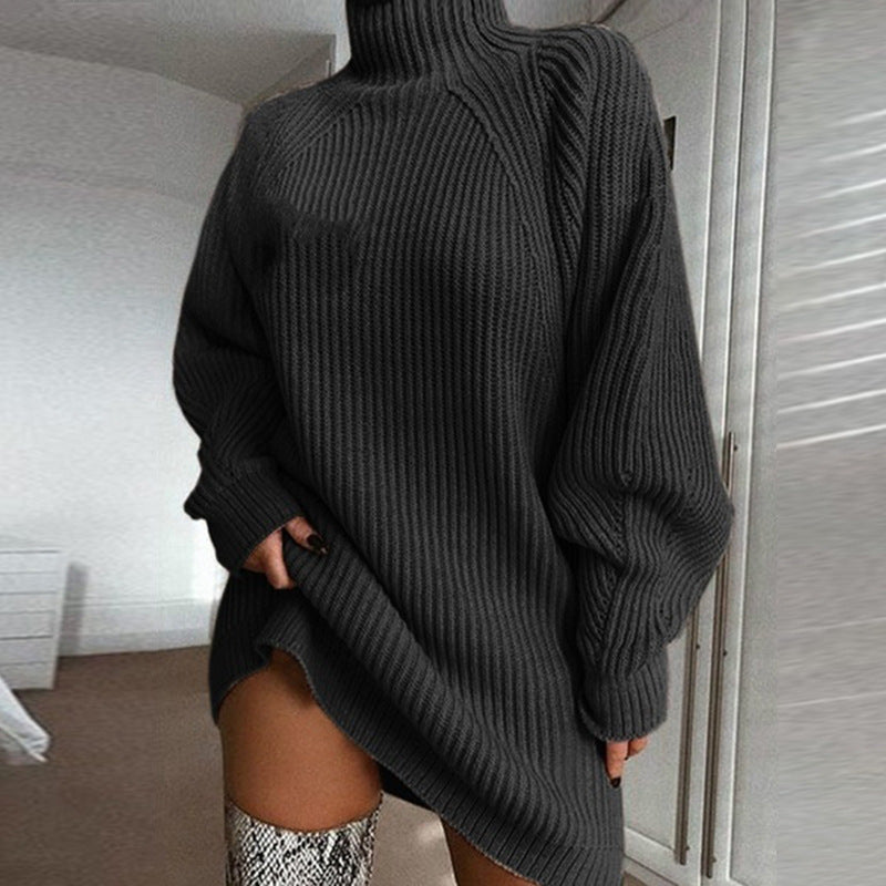 ChicWarm Turtleneck Dress