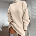 ChicWarm Turtleneck Dress