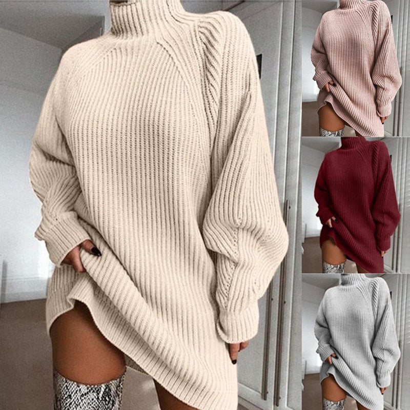 ChicWarm Turtleneck Dress